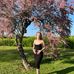 Lottie Patterson - Facebook
