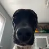 lottie - @lottiepowell - TikTok