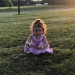 Lottie - @lottieandtate - Instagram