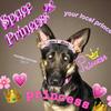 Lottietoddgizzy - @lottie_princess765 - TikTok