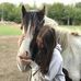 Lottie Watts - Facebook