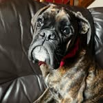 Lottie Webb - @lottie_webb14 - Instagram