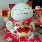 Lai Lotus - @lotuslai1608 - Instagram