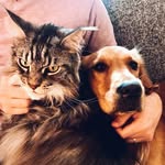 Lotus & Laïka - @lotusetlaika - Instagram