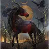 saskiakraus345 - @lotuslaila.k - TikTok