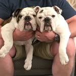Lou & Arnold Crumpler - @louandarnold - Instagram