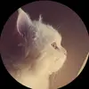 سامر الفايز - @louayers835 - TikTok