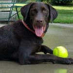 Dixie Lou Ayers - @dixie_lou_ayers - Instagram