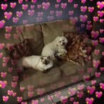 Lou Baker - Facebook