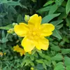 Lou Baker - @lou.baker17 - TikTok