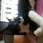 Xena Lou Ballard-Isreb - @princess_xena_lou - Instagram