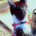 loubana.sS - @loubana__s - Instagram