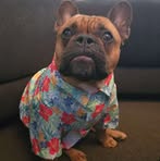 Lou Barker - Facebook