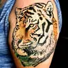 Lou Barnes - @turtlesheadtattoo - TikTok