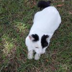 lou barry - @lou6244 - Instagram