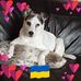 Lou-lou Barry - Facebook
