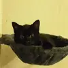 lou bart - @lou.bart6 - TikTok