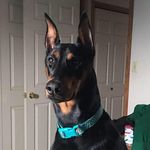 Lou Anderson Bartlett - @louandersonbartlett - Instagram
