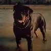 Lou Bateman - @lou.bateman0 - TikTok