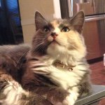 Betty Lou Beaverton - @bettyloubeaverton - Instagram