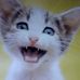 Lou Belanger - Facebook