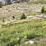 Lou Bender - @lbender4422 - Instagram