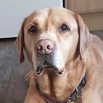 Lou Bentley - @lou.bentley.16 - Instagram