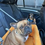 Louise Bentley - @loubentleyhook - Instagram
