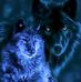 Louis Van Berg - Facebook