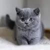Louise Bernard - @louise.bernard594 - TikTok