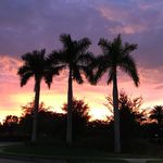 Lou Bianchi - @builtinbrooklyn - Instagram