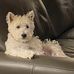 LouAnn Billings - Facebook