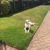 Louise Billings - Facebook