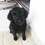 ❤️L •O •U❤️ - @lou_black_goldymix - Instagram