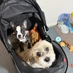 Louise Blackwell - Facebook