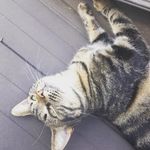 pixi.1 - @lou.blanchardhioco - Instagram