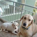 Lou Blanco Castro - @loublancocastro58 - Instagram