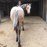 Cynthia L Blevins - @cynthialoublevins - Instagram