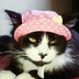 Lou Blevins - Facebook