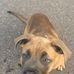 Lou Blue - Facebook