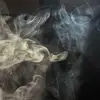 lousblunt - @lousblunt - TikTok