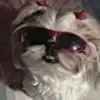 Bockman Pixielou - @bockman.pixielou - TikTok
