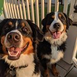 Brina Mae and Lexi Lou Bonner - @brinamaelexilou_bmd - Instagram