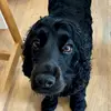 lou booth - @lou.booth0 - TikTok