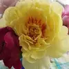 Lou Boothroy - @lou.boothroy - TikTok