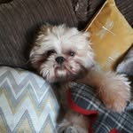 @loub.ooth - Instagram
