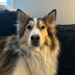 Lucy - @lucy.lou.booth - Instagram