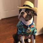 Beny Boston - @lou_boston - Instagram
