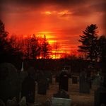 boston lou - @bostonlou - Instagram