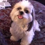 Abbee Lou Boswell - @abbeelou - Instagram